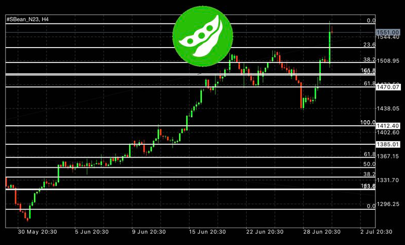 Análise Técnica Commodities